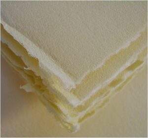 BFK Rives Heavyweight